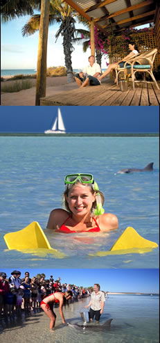  Accommodation Bookings