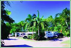 Tropical Hibiscus Caravan Park - thumb 0