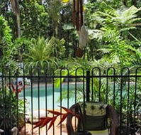 Daintree Rainforest Retreat Motel - Accommodation Bookings