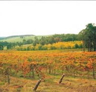 Byramgou Park - Accommodation Bookings