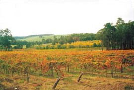 Byramgou Park - Accommodation Bookings 0