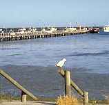 Seaview Motel and Holiday Units - Accommodation Bookings