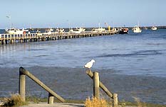 Seaview Motel And Holiday Units - Accommodation Bookings 0