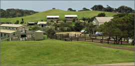 Cape Schanck VIC Accommodation Bookings