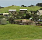 Ace Hi Riding Ranch - Accommodation Bookings