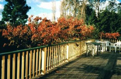 Heronswood House - thumb 5