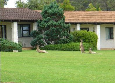 The Oaks Ranch & Country Club - Accommodation Bookings 1