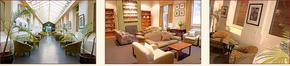 AnsoniA On Lydiard - Accommodation Bookings 1