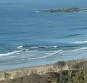 Beach Haven Apartments - Accommodation Bookings