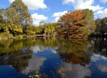 BIG4 Maroochy Palms Holiday Village - Accommodation Bookings 2