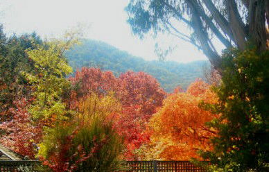 ELLENVALE HOLIDAY UNITS - Accommodation Bookings 1