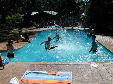 Koala Park Resort - Accommodation Bookings 1