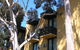 Pathfinder Motel - thumb 1