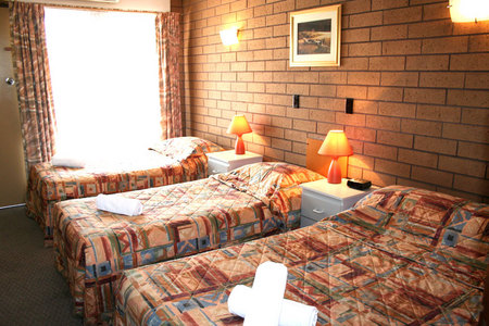 Rippleside Park Motor Inn - thumb 2