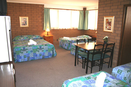 Rippleside Park Motor Inn - thumb 3