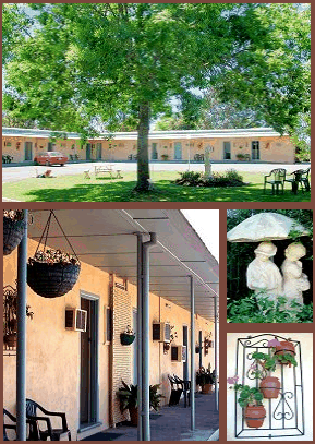 Arch Motel - Accommodation Bookings 2