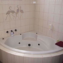 The Charles Sturt Motor Inn - Accommodation Bookings 3