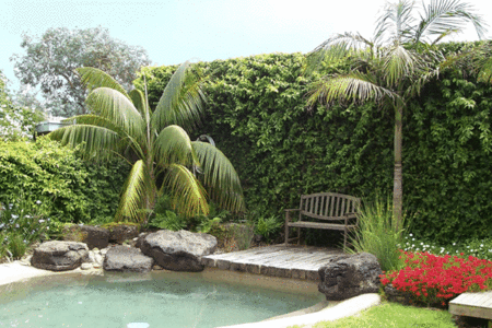The Tropicana Motor Inn - Accommodation Bookings 2