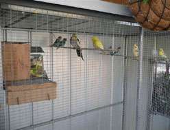 Yarragon Motel - Accommodation Bookings 1