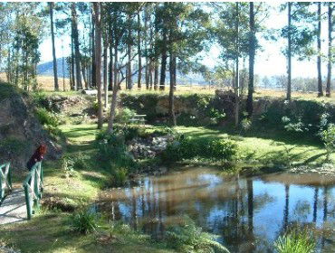 Tallowood Ridge Farmstay B - thumb 1
