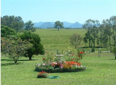 Tallowood Ridge Farmstay B - Accommodation Bookings 3