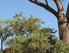 Lakeview Apartments Kununurra - Accommodation Bookings 3
