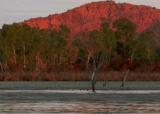 Lakeview Apartments Kununurra - Accommodation Bookings 4