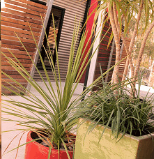 Adelphi Apartments - Accommodation Bookings 1
