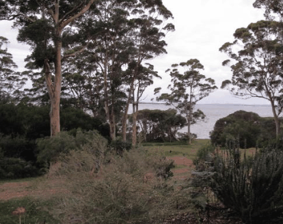 The Denmark Waterfront - Accommodation Bookings