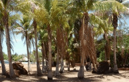 King Sound Resort Hotel - Accommodation Bookings