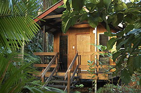 Cape Tribulation QLD Accommodation Bookings
