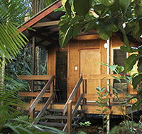 Cape Trib Beach House - Accommodation Bookings