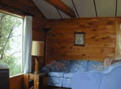 The Pines Resort - Accommodation Bookings