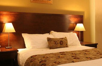 Whale Motor Inn - Accommodation Bookings 1