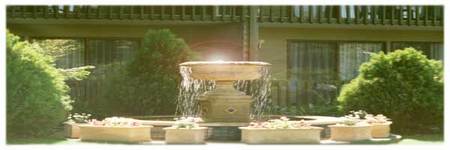 Best Western Tall Trees Motel - Accommodation Bookings 2