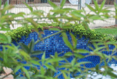 Arcadia Motor Inn - Accommodation Bookings 4