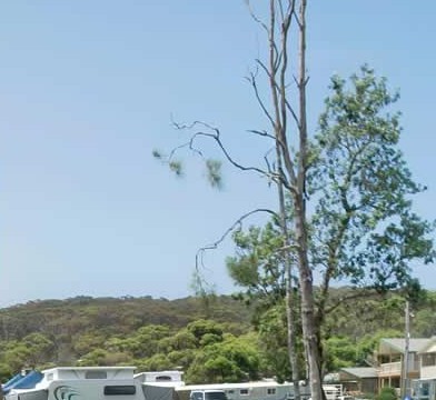 Merry Beach Caravan Park - thumb 2