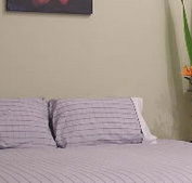 Stingo Hotel - Accommodation Bookings
