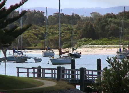 Palm Court Motor Inn - Accommodation Bookings 4