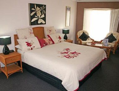Sapphire Waters Motor Inn - Accommodation Bookings 1