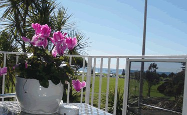 Beach Park Motor Inn - thumb 3