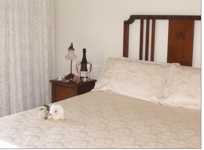 Catton Hall Country Homestead - Accommodation Bookings 3