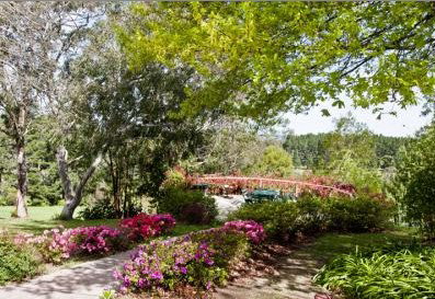 Bilpin Resort - Accommodation Bookings 2