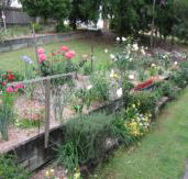 Kintail Homestay