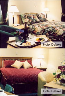 Loxton Community Hotel Motel - Accommodation Bookings 0