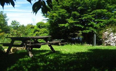The Cecil Guest House - Accommodation Bookings 5