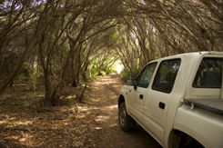 Nampara Cabins - Accommodation Bookings 1