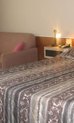 Comfort Inn Central Deborah - Accommodation Bookings 1