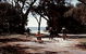Acacia Caravan Park - thumb 4