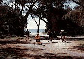 Acacia Caravan Park - Accommodation Bookings 4